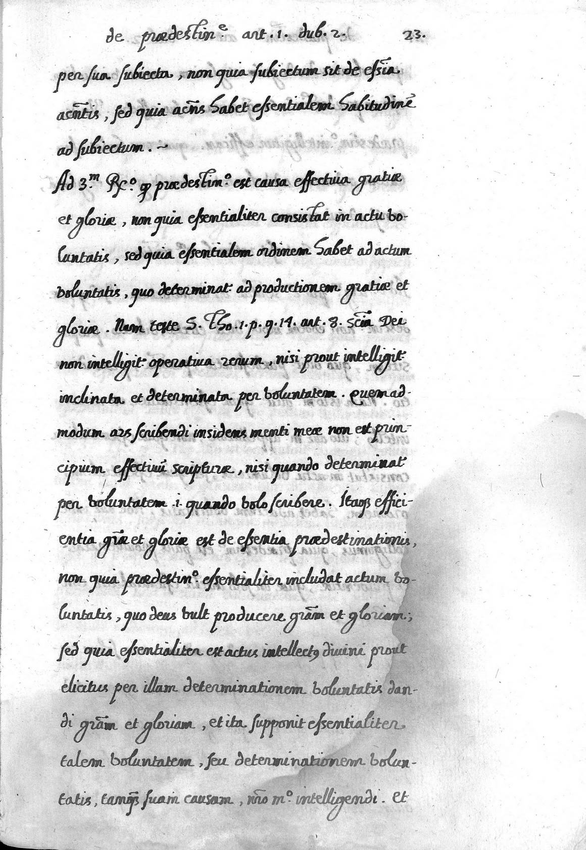 33