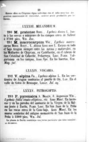 59
