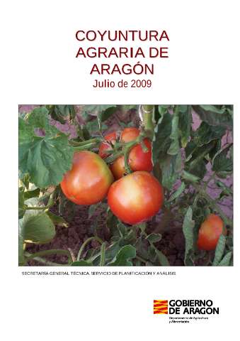 application/pdf