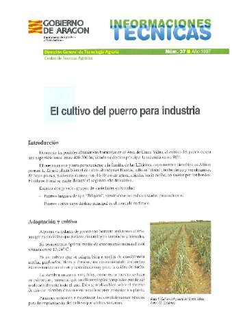 application/pdf