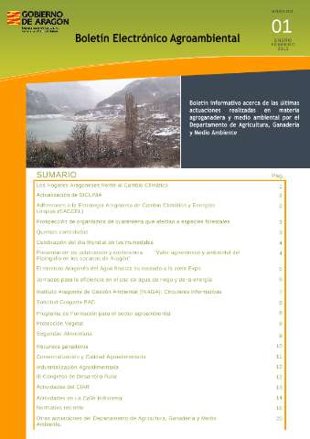 application/pdf
