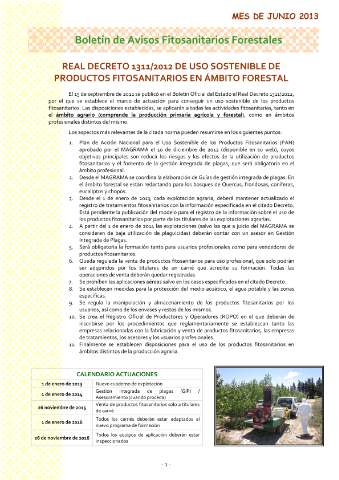 application/pdf