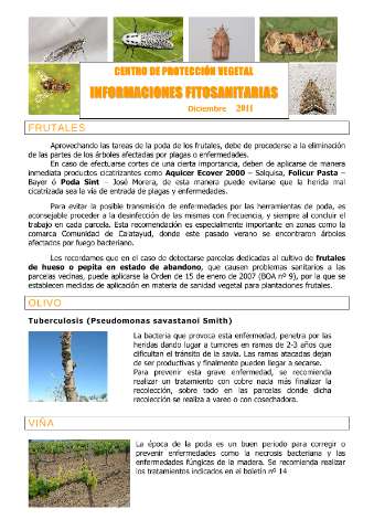 application/pdf