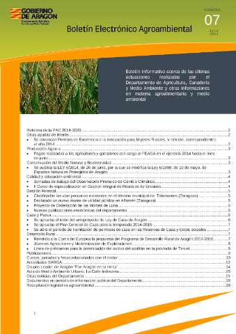 application/pdf
