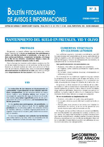 application/pdf