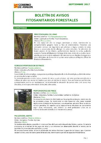 application/pdf