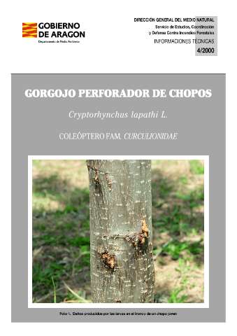 application/pdf