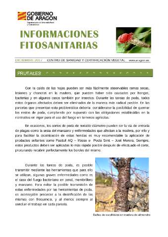 application/pdf