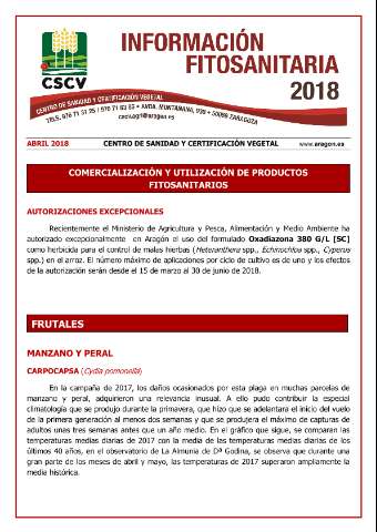 application/pdf