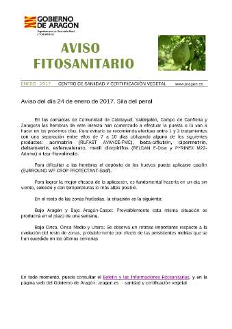 application/pdf