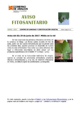 application/pdf