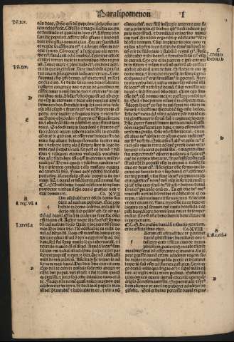 256