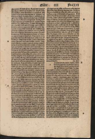 323