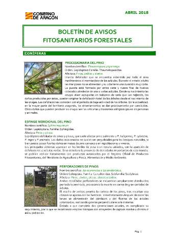 application/pdf