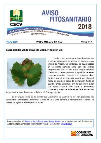 application/pdf