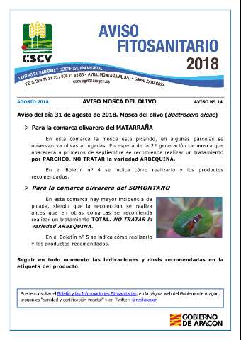 application/pdf