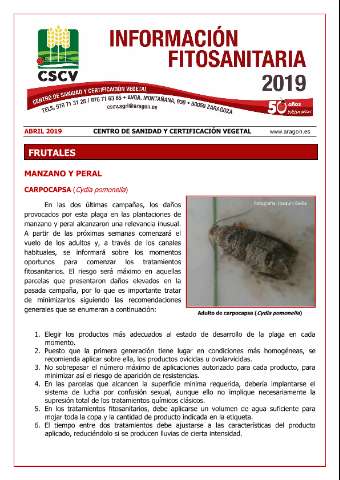 application/pdf