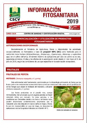 application/pdf