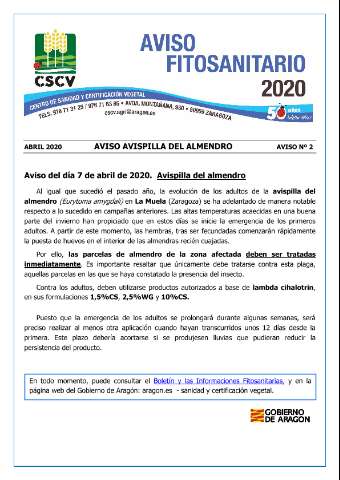 application/pdf