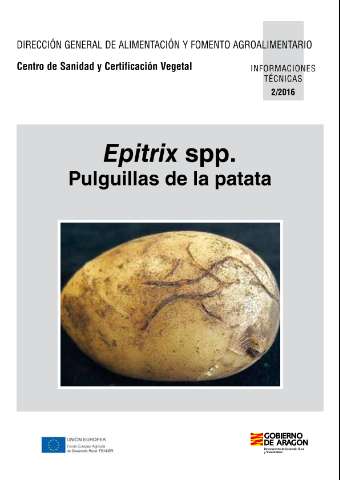 application/pdf
