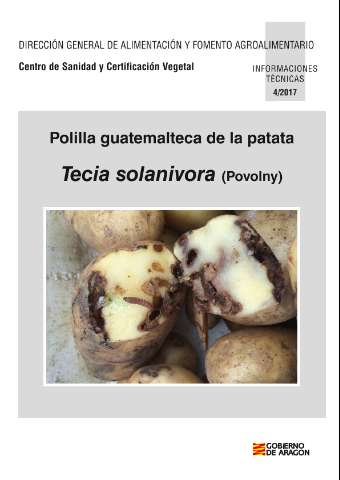 application/pdf
