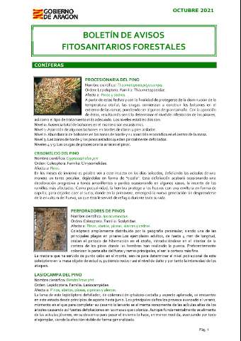 application/pdf
