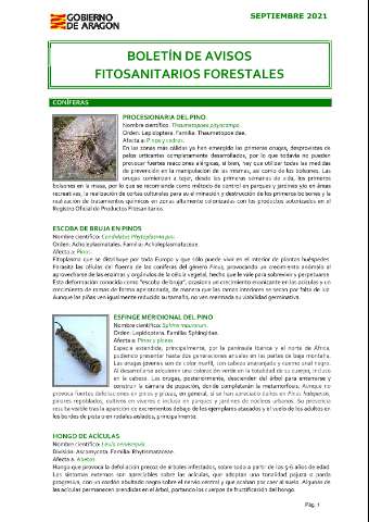 application/pdf