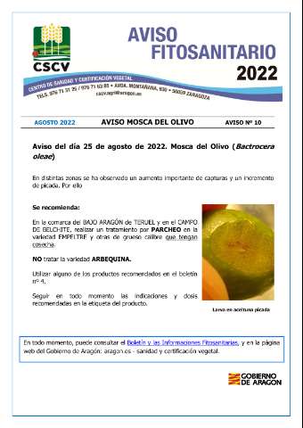 application/pdf
