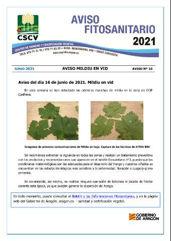 application/pdf