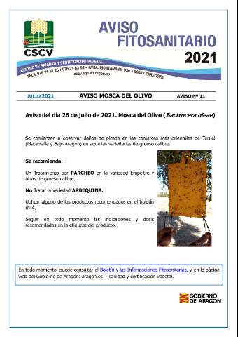 application/pdf