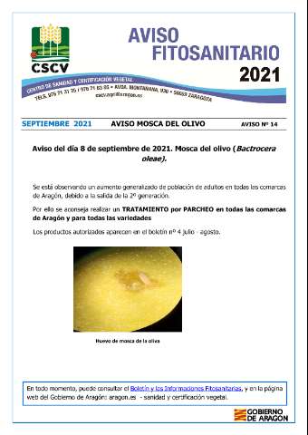 application/pdf