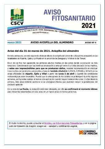 application/pdf