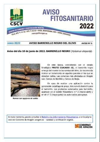 application/pdf