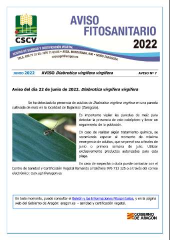 application/pdf