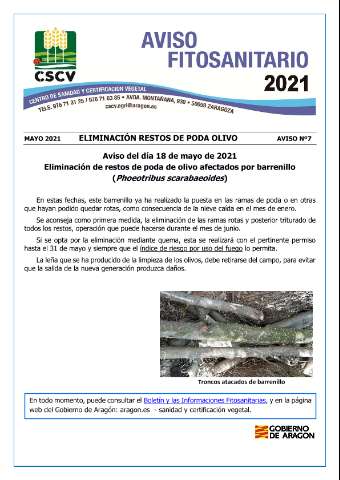 application/pdf