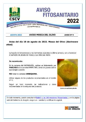 application/pdf