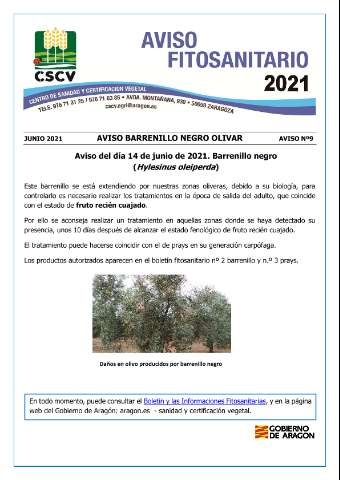 application/pdf