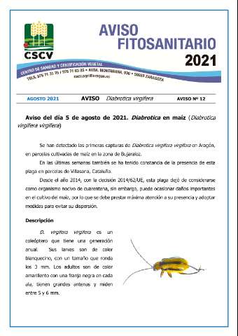 application/pdf