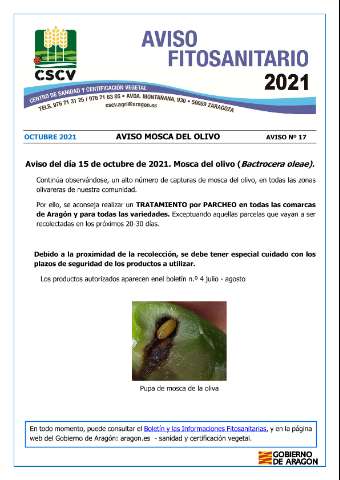 application/pdf