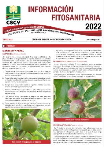 application/pdf