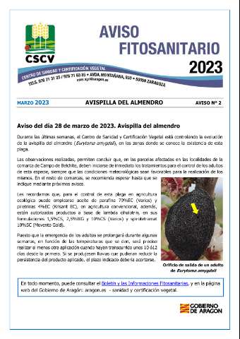 application/pdf