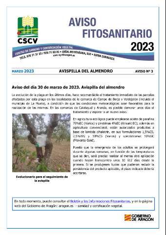 application/pdf