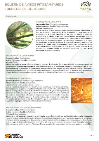 application/pdf