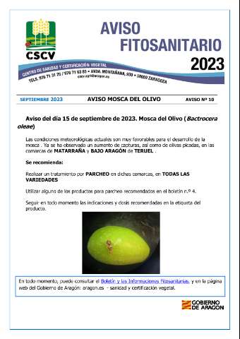 application/pdf