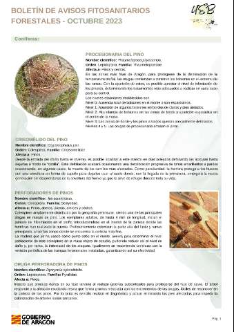 application/pdf