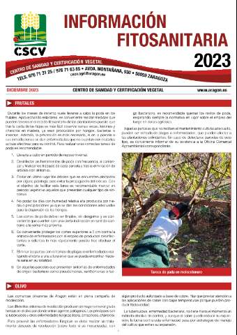 application/pdf