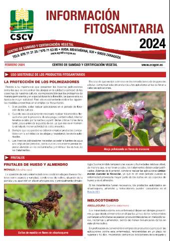 application/pdf