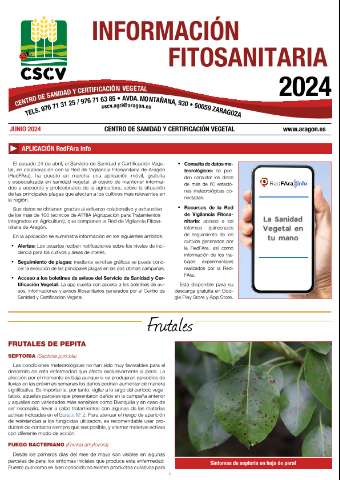 application/pdf