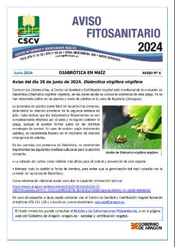 application/pdf