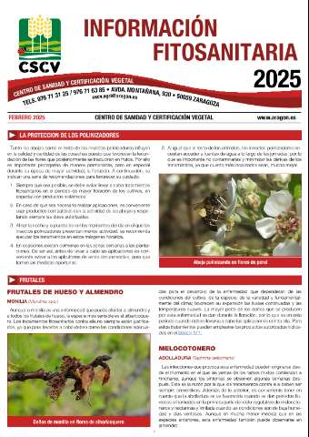 application/pdf